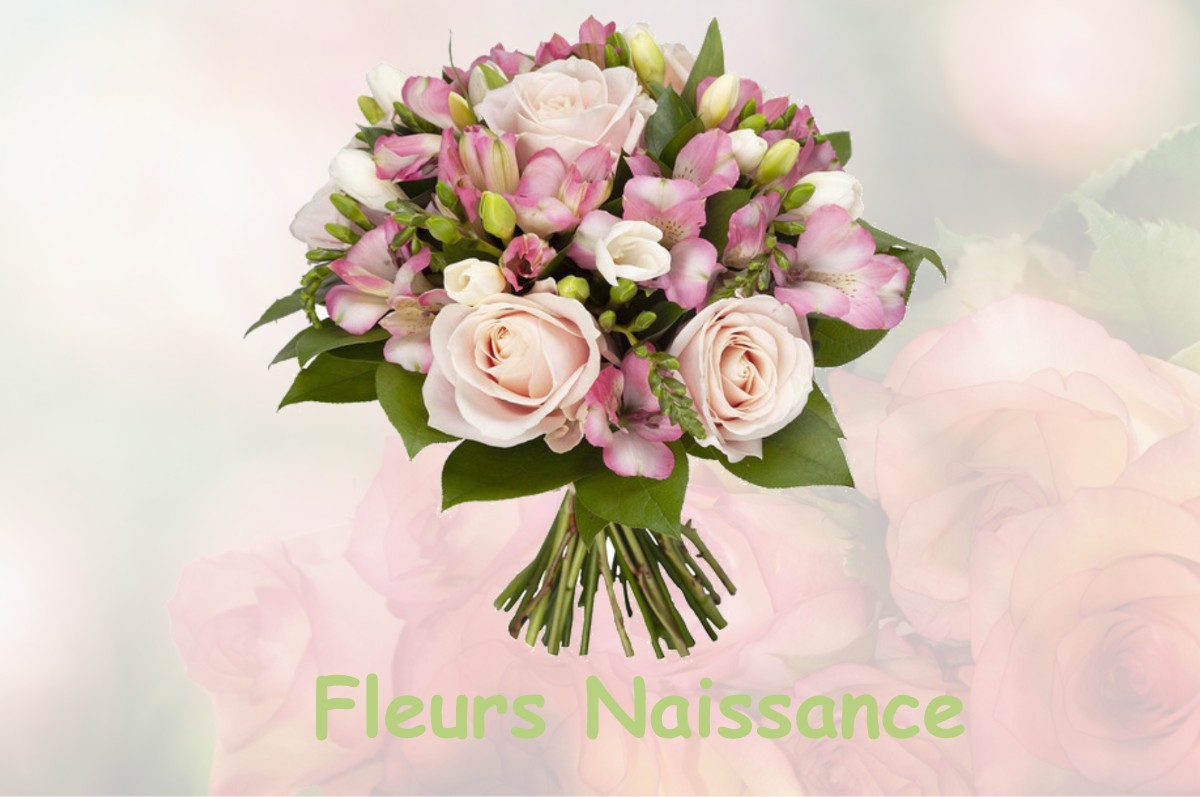 fleurs naissance SAINT-MARC-SUR-COUESNON